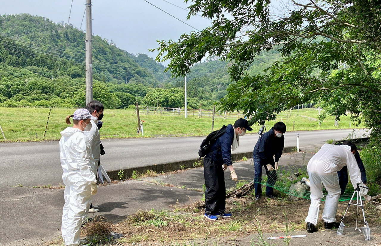 How a single radioactive cloud caused Fukushima particle contamination