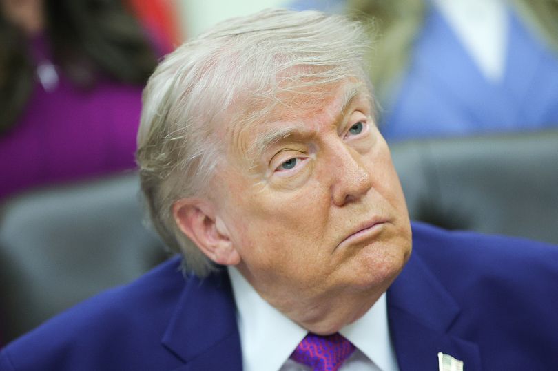 CNN halts segment as anchor shows proof of President Trump lying