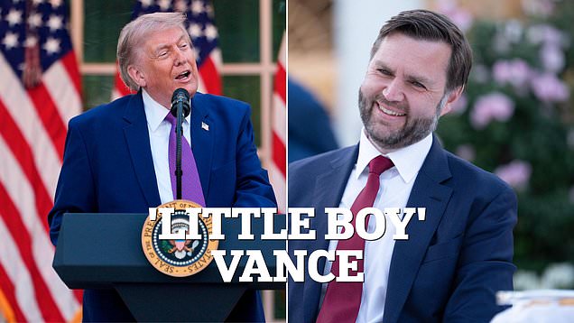 Trump takes shot at 'little boy' JD Vance and 2028 ticket