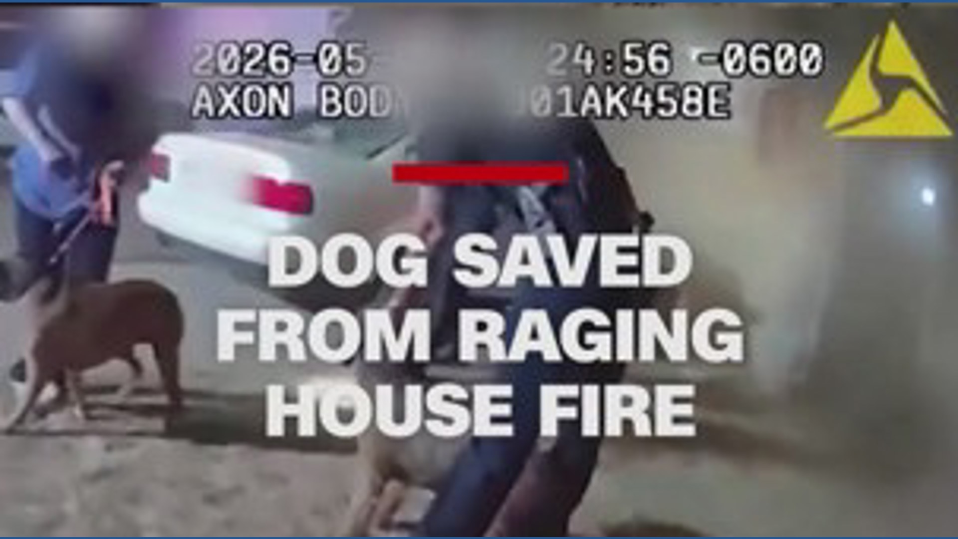 Dog saved from house fire