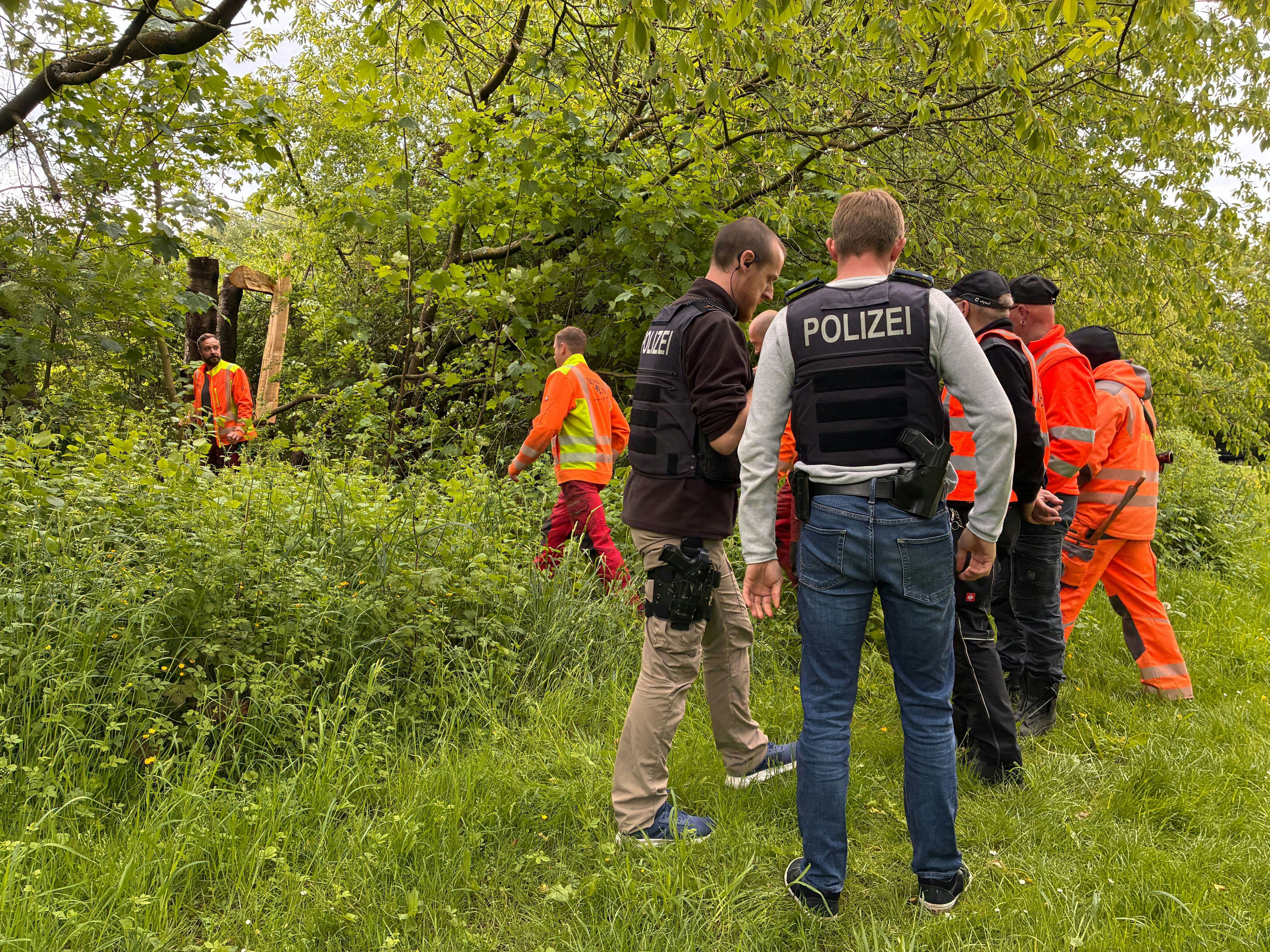 Politischer Hintergrund? Baumstamm stürzt auf KVB-Oberleitung in Köln ...