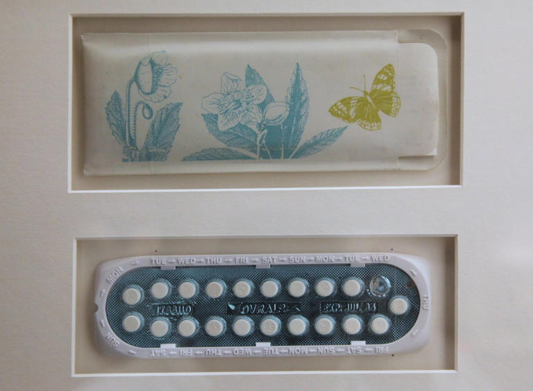 By changing women's lives, the pill changed the nation