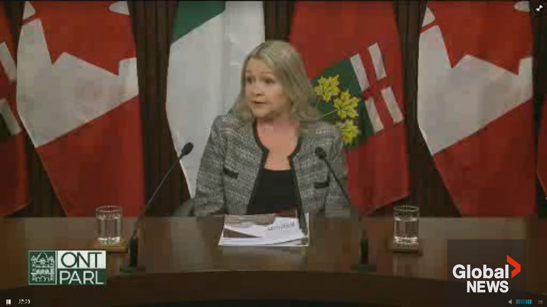Ontario auditor general report finds 'gaps' in truck driver training