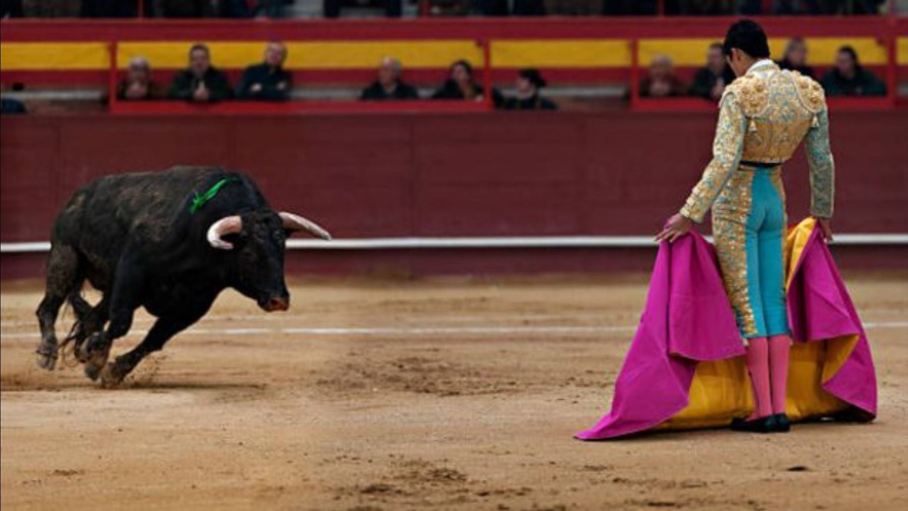 Horario y dónde ver la corrida de toros de Antonio Ferrera, Calita y ...