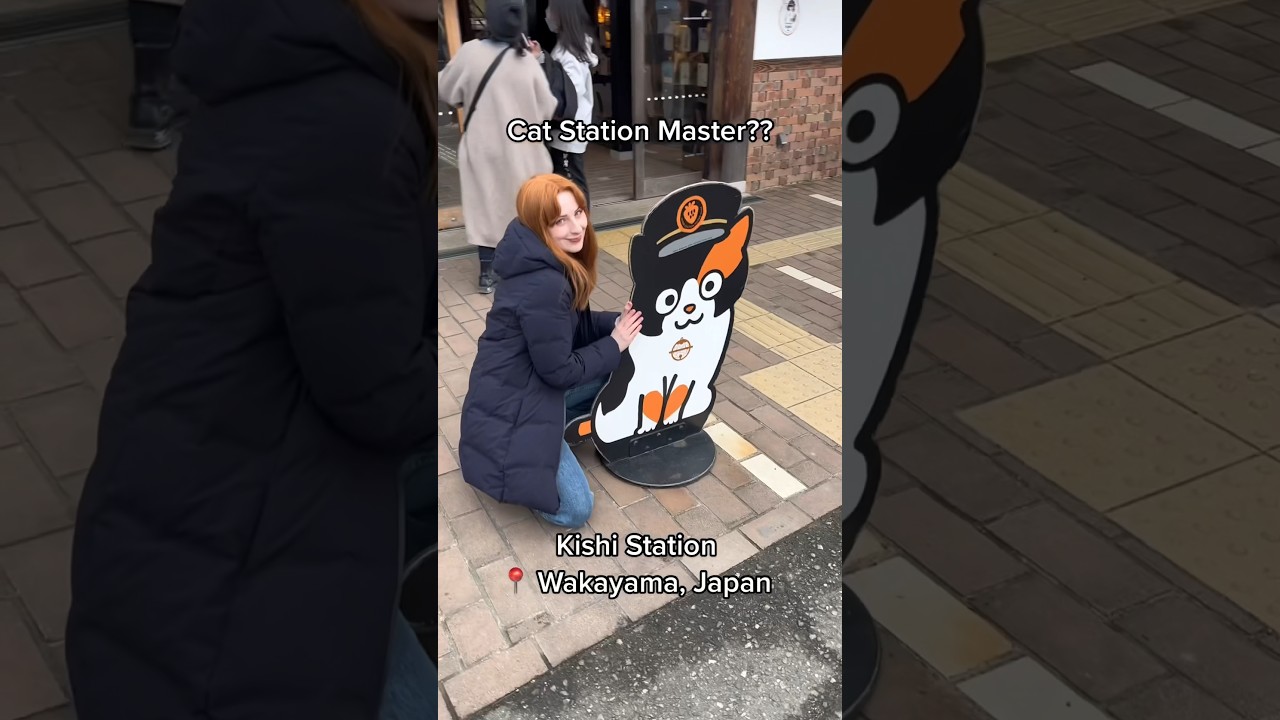 This cat is working hard — and it's adorable!
