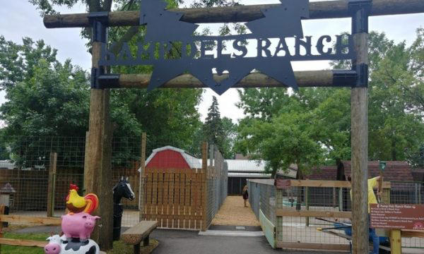 Kamp Dels discount wristbands (Waterville): Waterpark, petting zoo ...