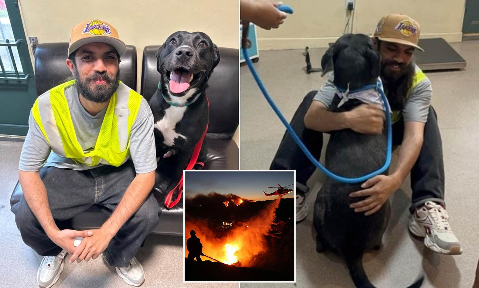 Emotional Reunion Dog and Owner Reunited 15 Months After Losing Home in ...