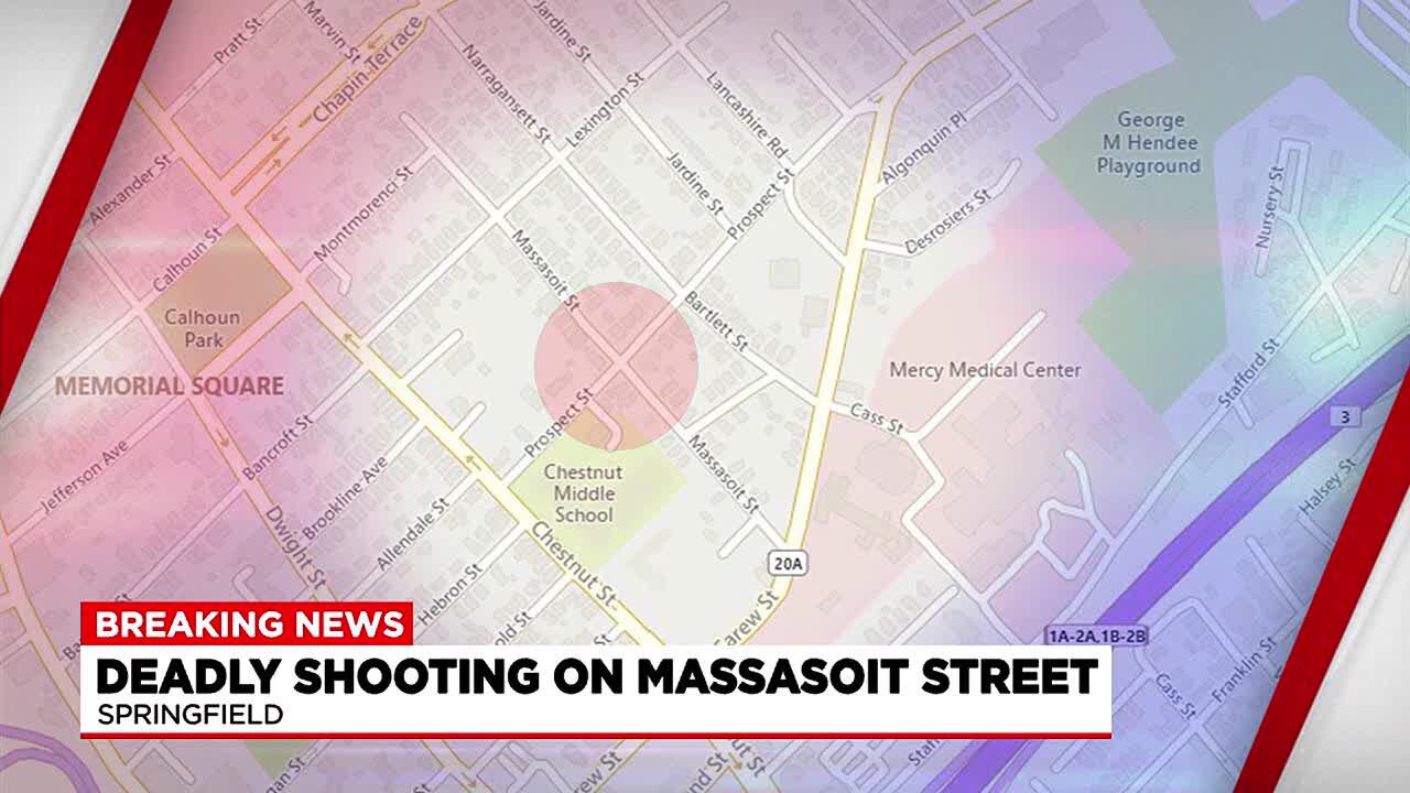 Springfield man arraigned on murder charge in 2024 shooting death