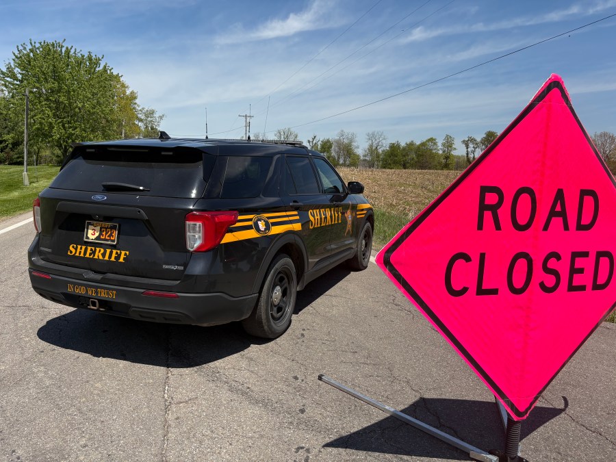 Man facing charges after sheriff, deputy stabbed in Wayne County