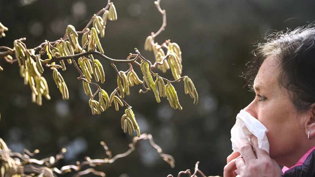 Experts warn allergy pills may alter appetite and lose potency with juice