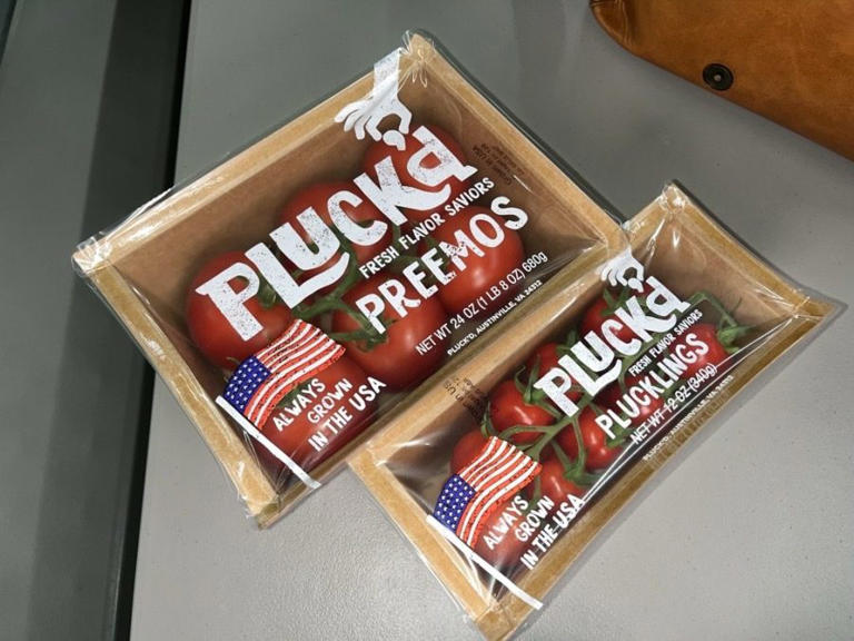 Pluck’d, the high-tech greenhouse growing Virginia tomatoes