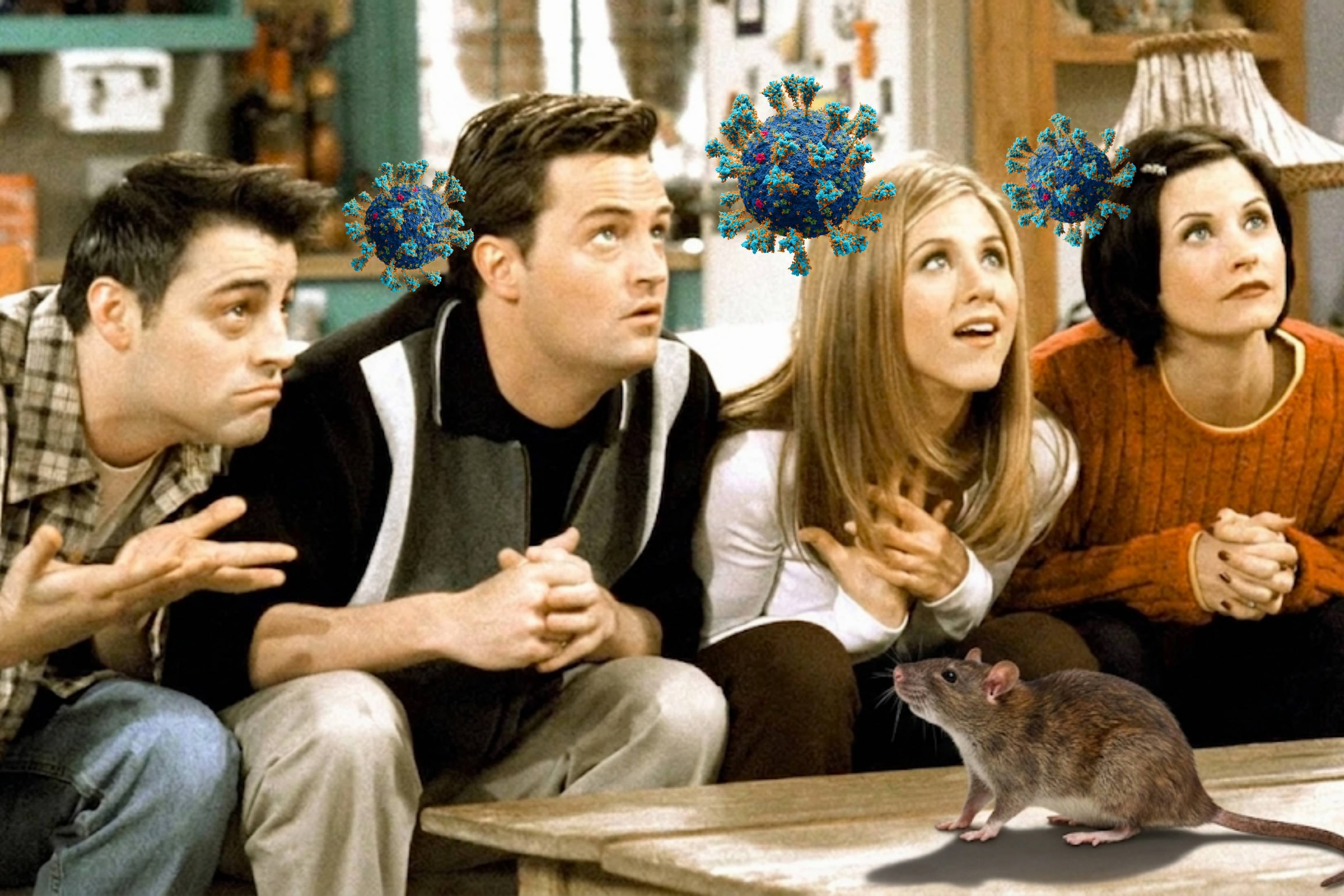 Episodio de Friends irónicamente se hace viral por mencionar el ...