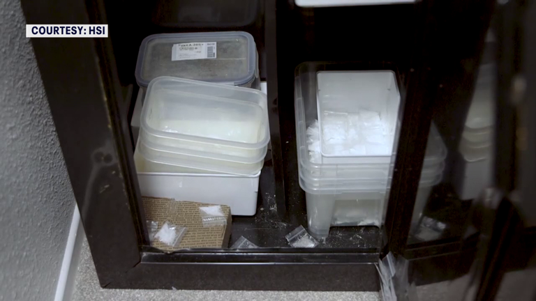 Tampa's new Homeland Security Task Force arrests 6 in fentanyl ...