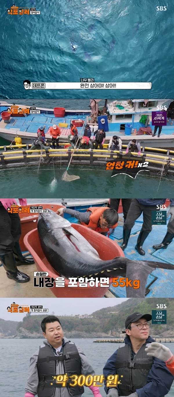 “55=300만원” 압도적 크기 참치 처음 보고 데프콘 충격 (식포일러)[결정적장면]