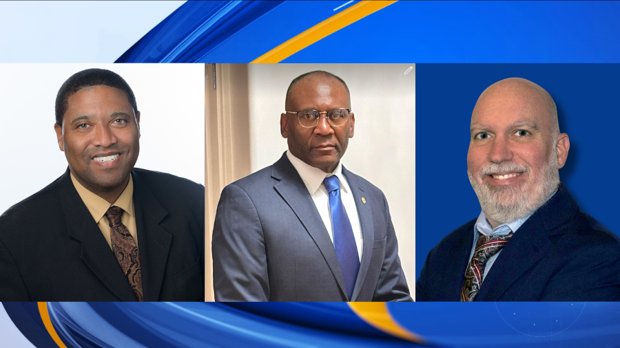 Meet the Democratic candidates for State Senate District 2