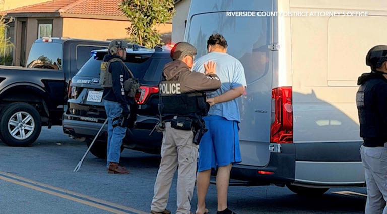 Psychologist, doctor, corporate execs arrested in California child sex ...