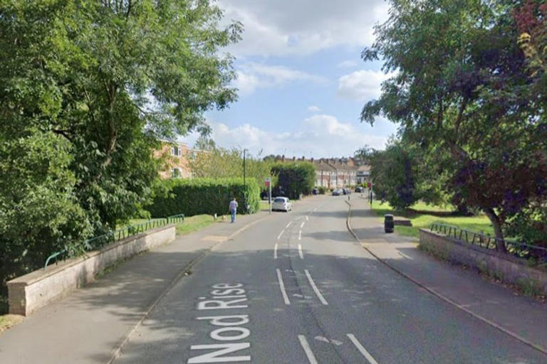 Zebra crossing in Mount Nod ruled out by highways bosses for exact ...