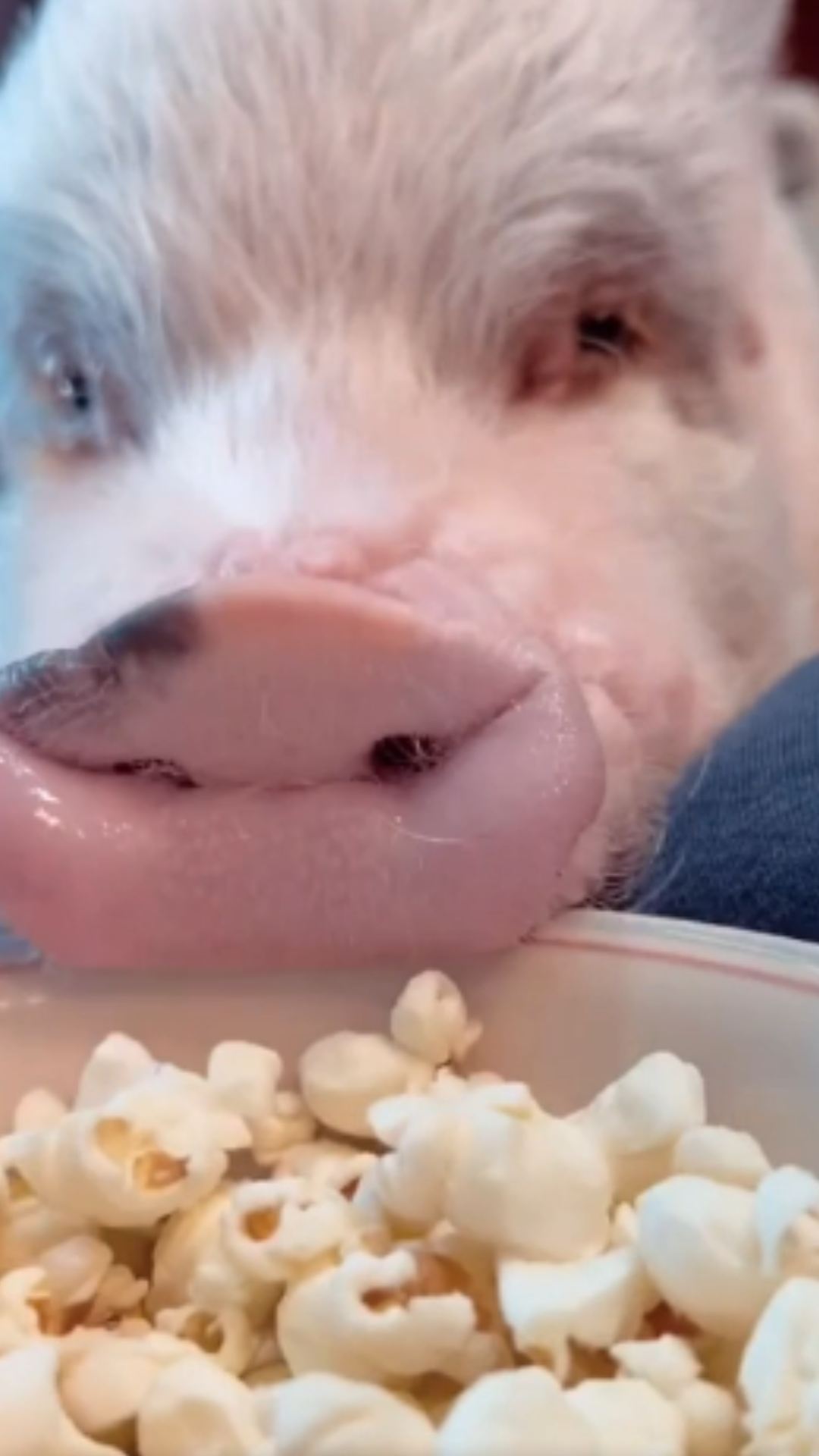 The funniest snack attack moment you’ll see today