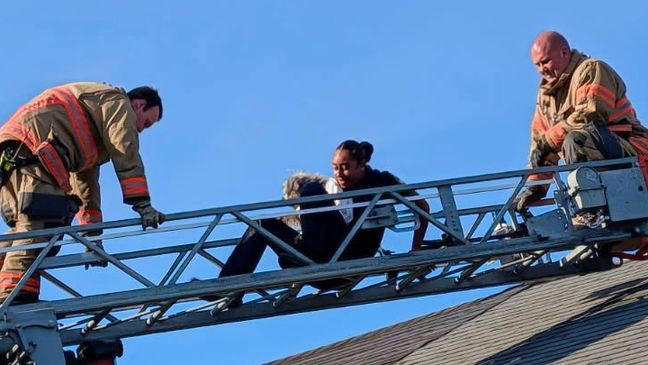Police officer rescues dog stranded on rooftop in Dundalk