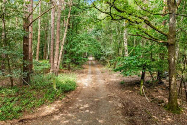 Sussex woodland with barn that housed WW2 armoured tanks is for sale