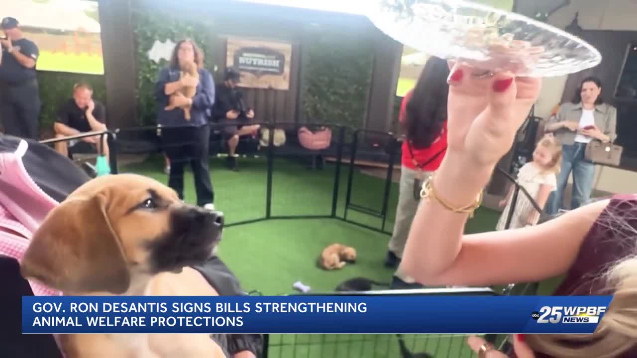 Gov. DeSantis signs animal welfare legislation at Big Dog Ranch Rescue ...