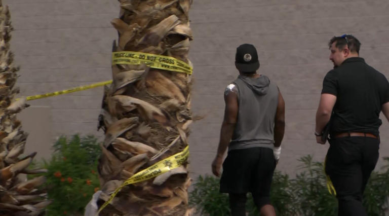Husband, wife killed in Las Vegas grocery shooting, suspect held down ...