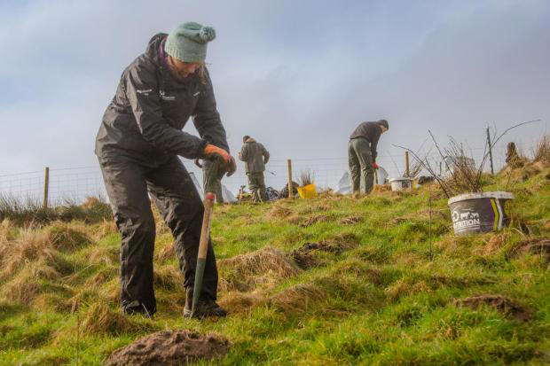 Yorkshire Wildlife Trust launches Wildlife Hero Awards