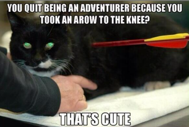 30+ May Memes of Mawrvelous Animals for Midweek Meltdowns
