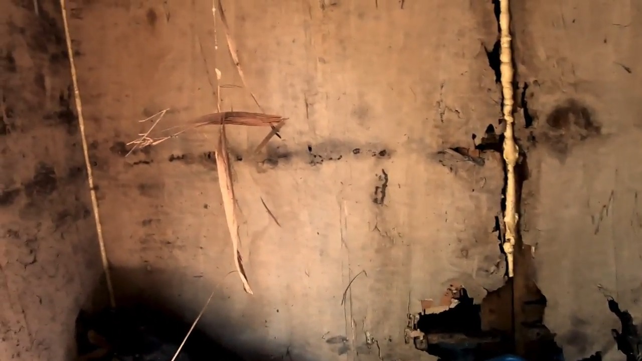 Paranormal figure caught in window - explorer heard screams near a ...
