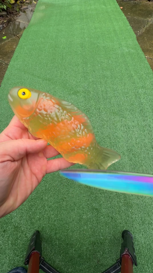 Picture of Goldfish flooded my garden, unexpected water chaos