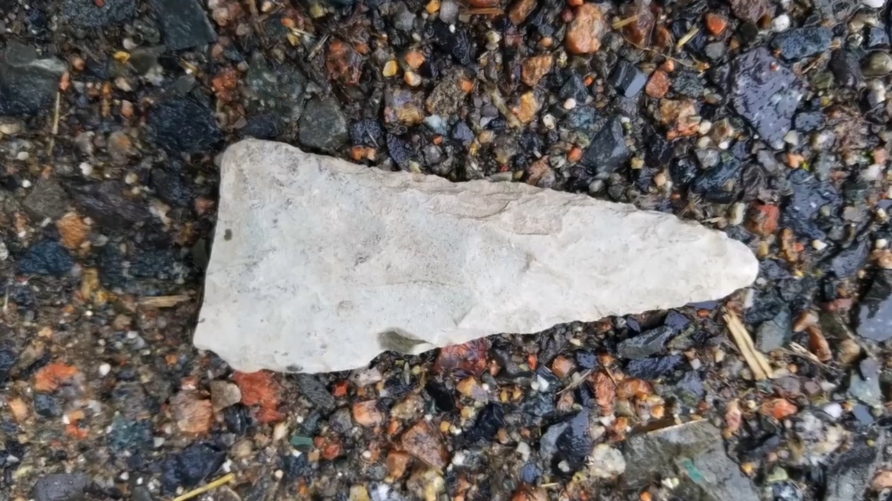 Button Beach was real - metal detectorist chased a Civil War rumor and ...