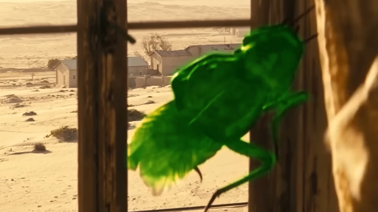 Watch what happens when he tests a radioactive cockroach