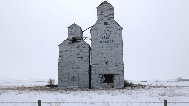 A journey home: How Saskatchewan and I came of age