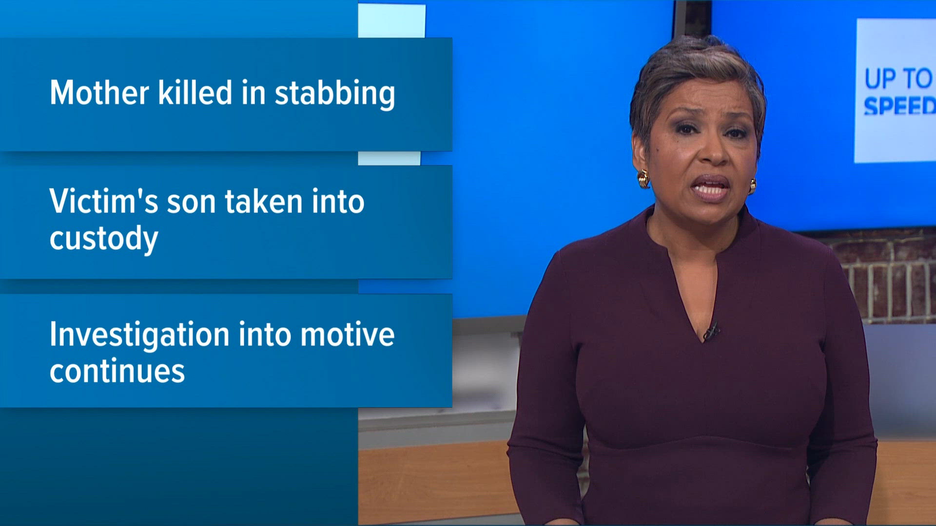 Man arrested for stabbing 85-year-old mom to death, police say