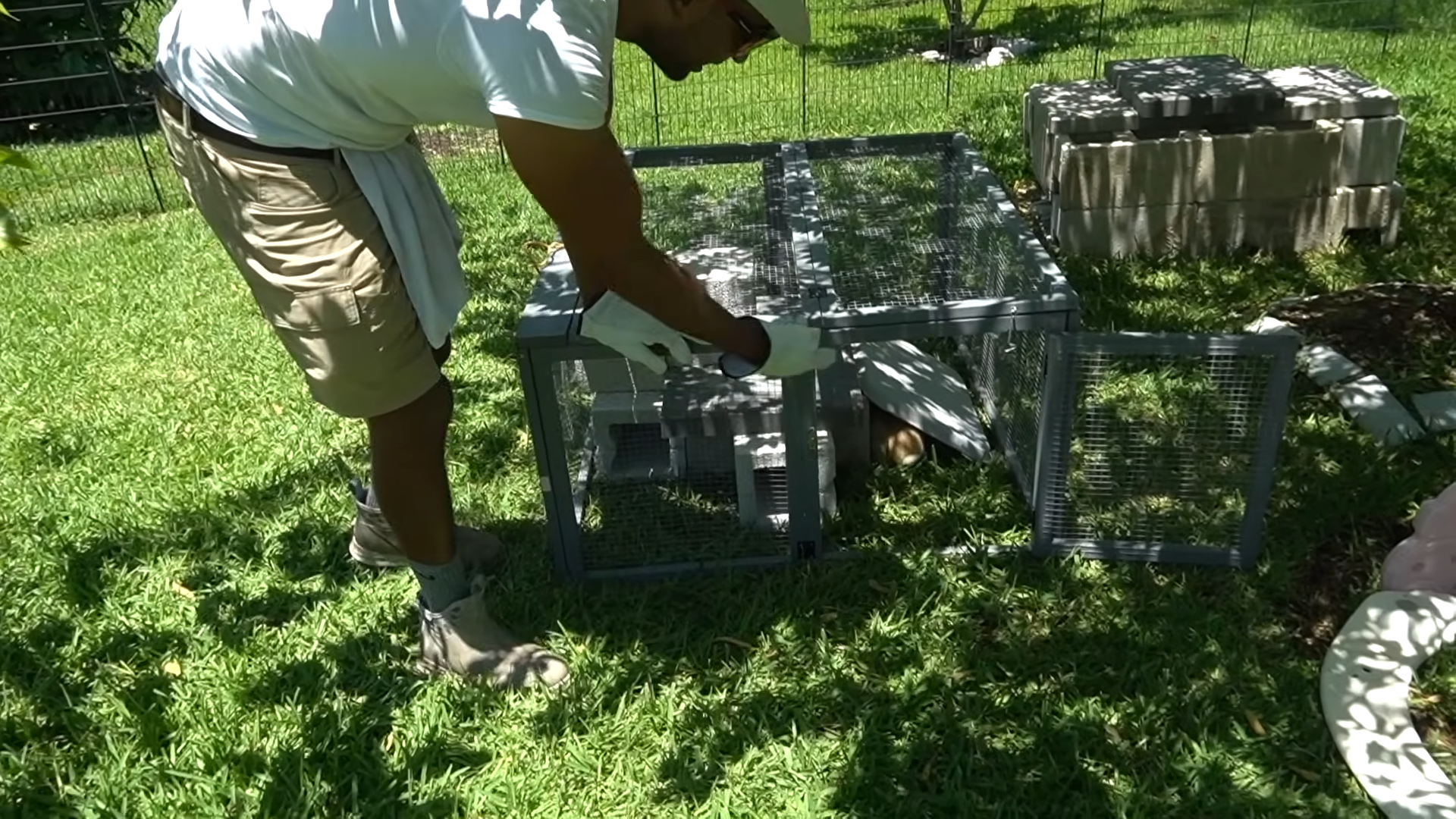 A tiny rescued bunny inspired a backyard fortress built for survival