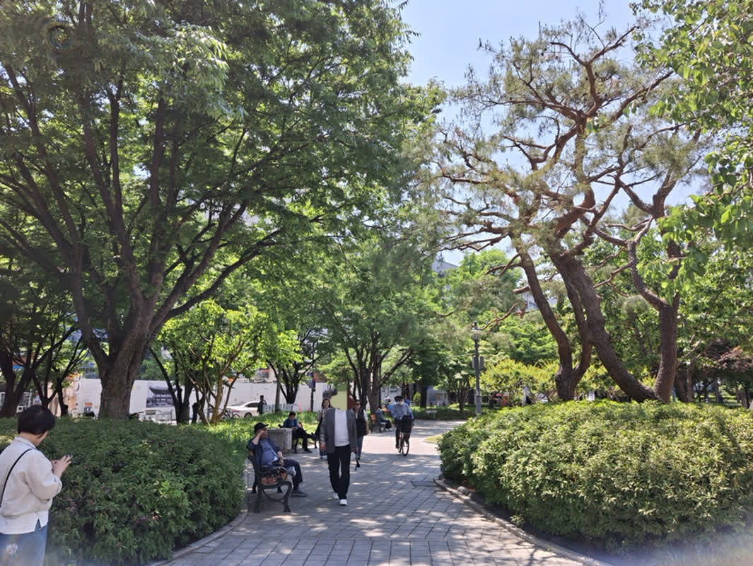 [르포: 대구 바닥민심을 훑다②]경상감영공원·반월당 지하 상가서 들어본 7080 민심