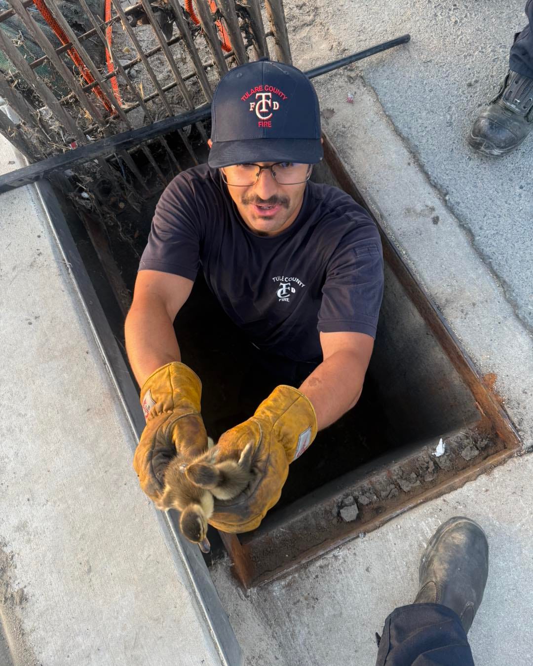 Firefighters rescue 10 ducklings from storm drain in Goshen