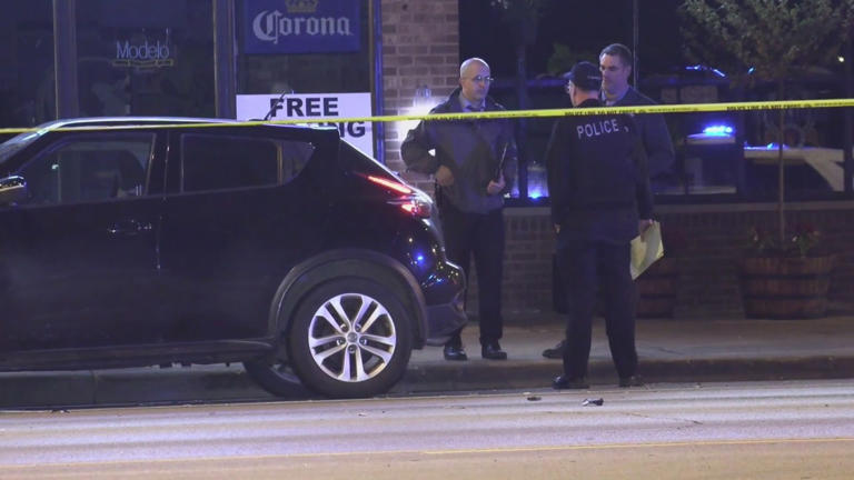 Man killed in hit-and-run crash on Southwest Side