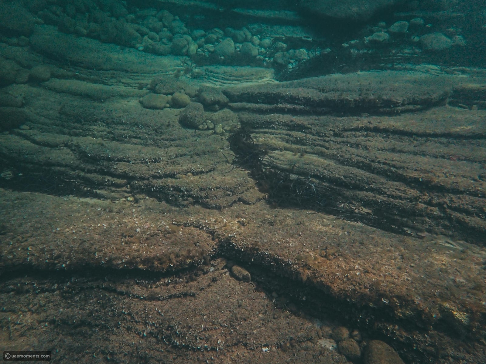 Archaeologists discover a 140,000-year-old lost world beneath the ocean