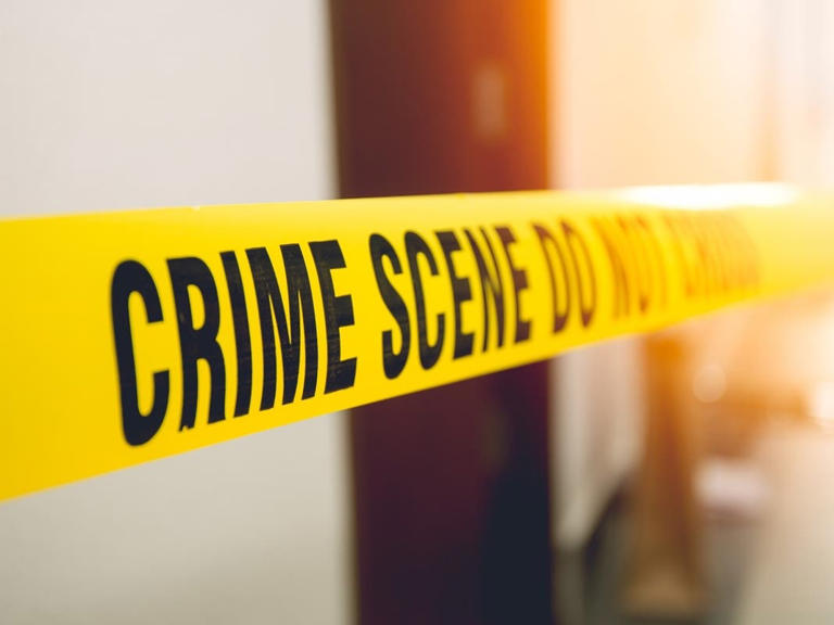 Driver killed after car crashes into tree in Union County