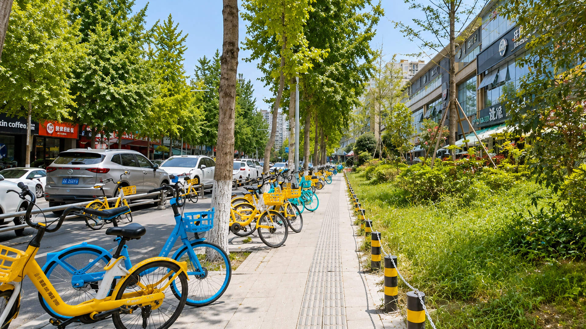 Acera arbolada impulsa el uso de la bicicleta en comunidades urbanas de ...
