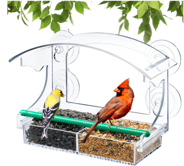 Transform your window with Walmart's $17 bird feeder for daily ...