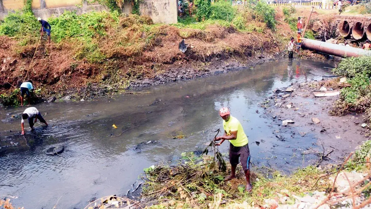 BMC launches special two-day drive to clear desilted silt from rivers ...