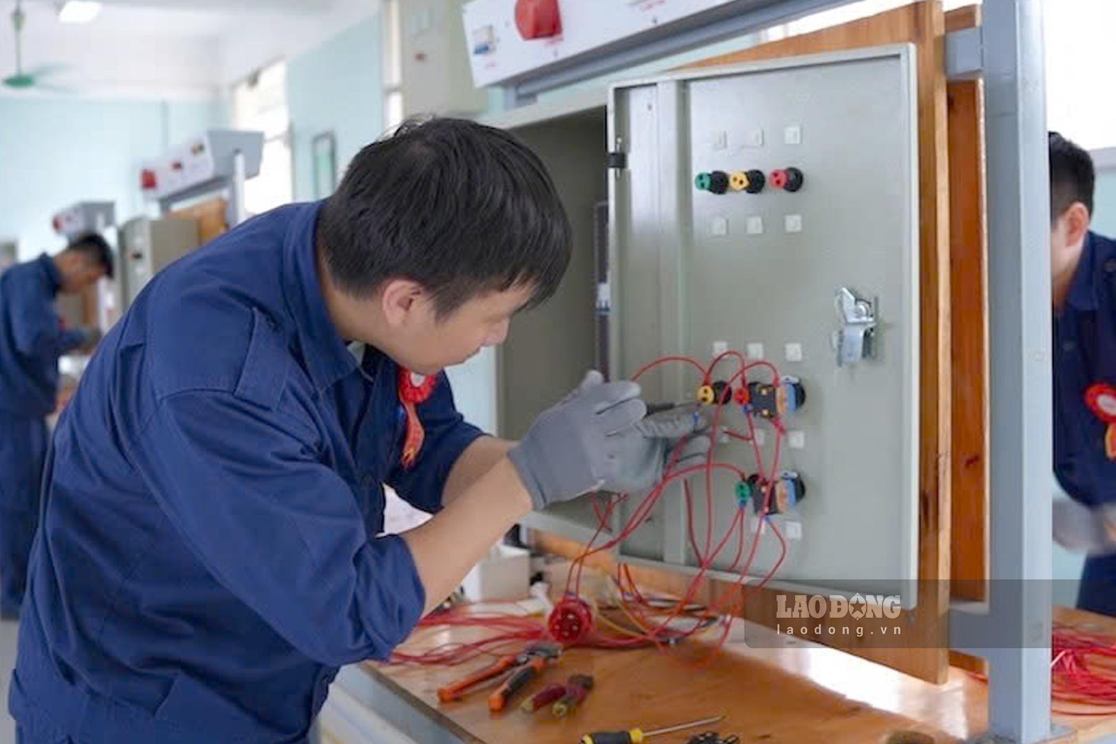 Bật mí cơ hội việc làm của ngành Điện công nghiệp