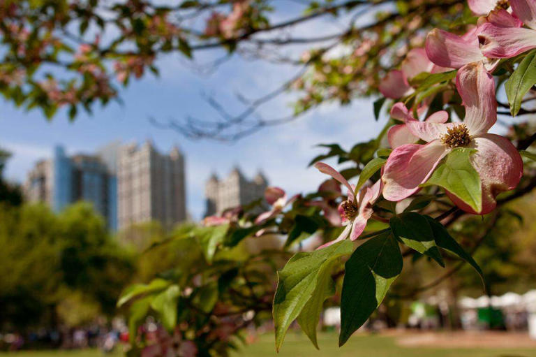 GA has the best summer travel destination in US, new ranking says. Here ...