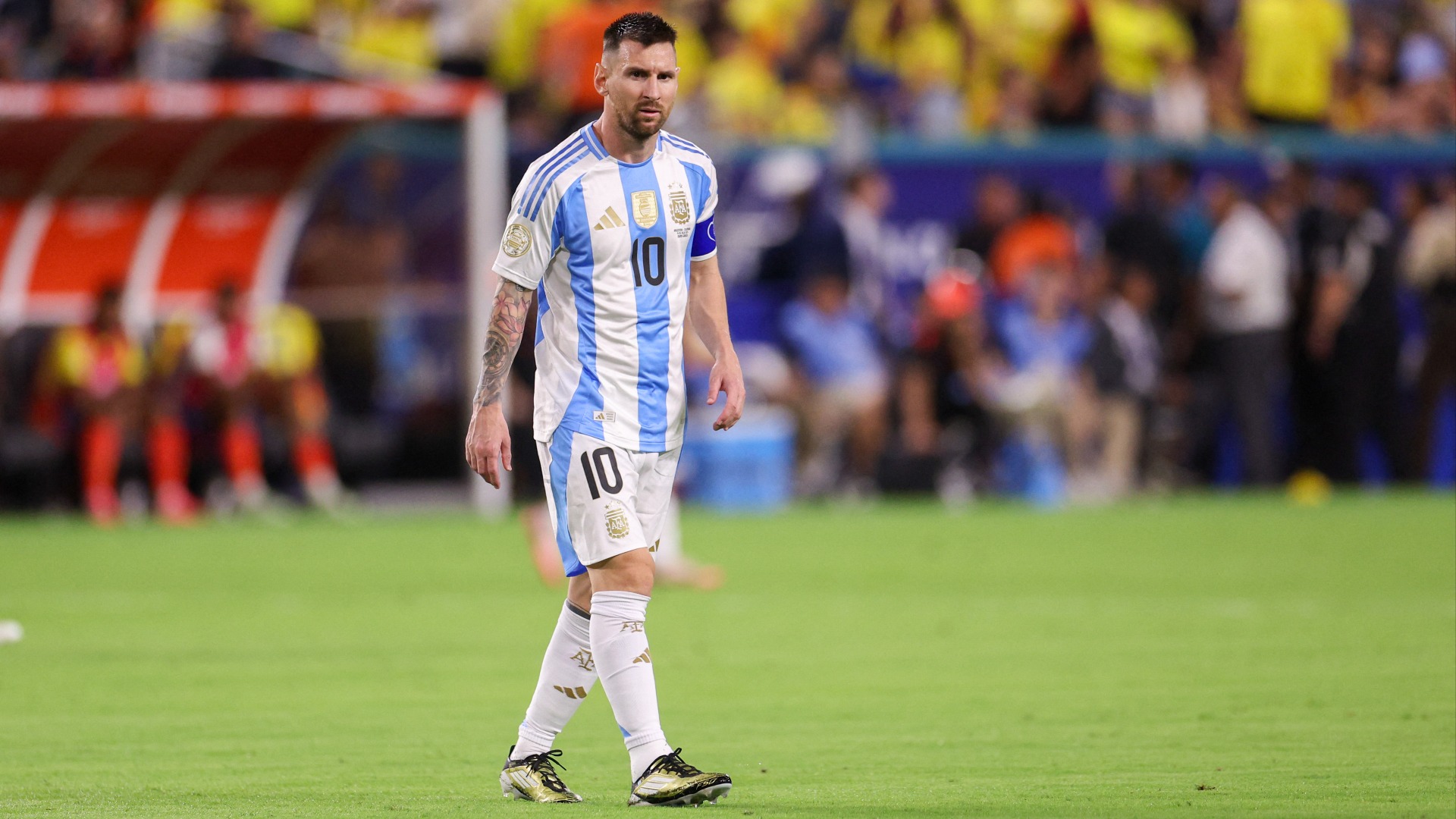 FIFA World Cup betting insights: Prediction markets explained