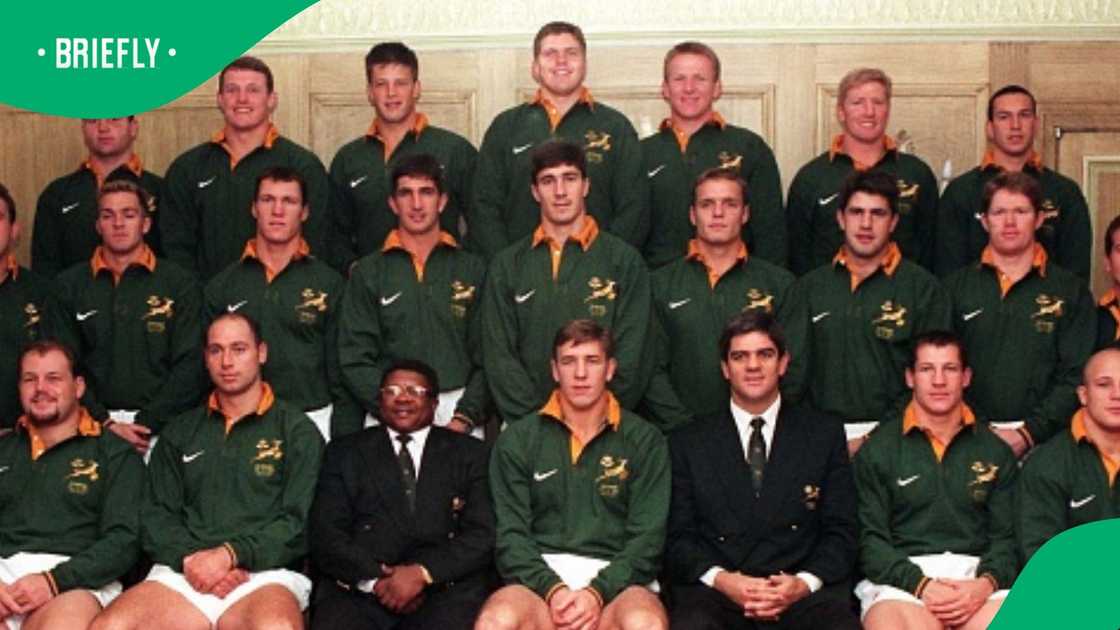 Former Springbok scrumhalf Dan van Zyl appointed Navan coach in Ireland