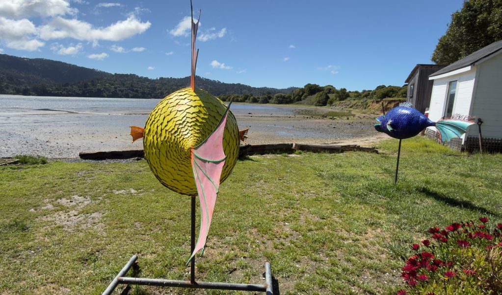 Coastal septic systems: Marin County revisits rules in West Marin amid ...