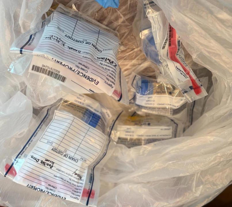 Shakedown at Orleans Justice Center produces several bags of contraband ...