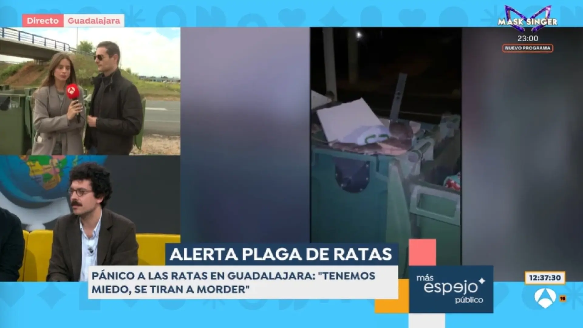Los vecinos de Guadalajara denuncian una plaga de ratas en la ciudad ...